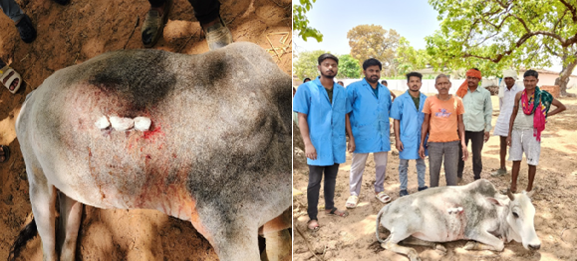 1962 Chhattisgarh Mobile Veterinary Services